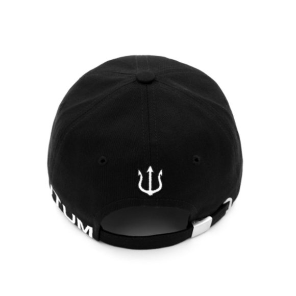 VERUTUM H017 / BK hat
